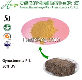 GMP Factory Supply Pure Gynostemma Extract With 98% Gypenosides