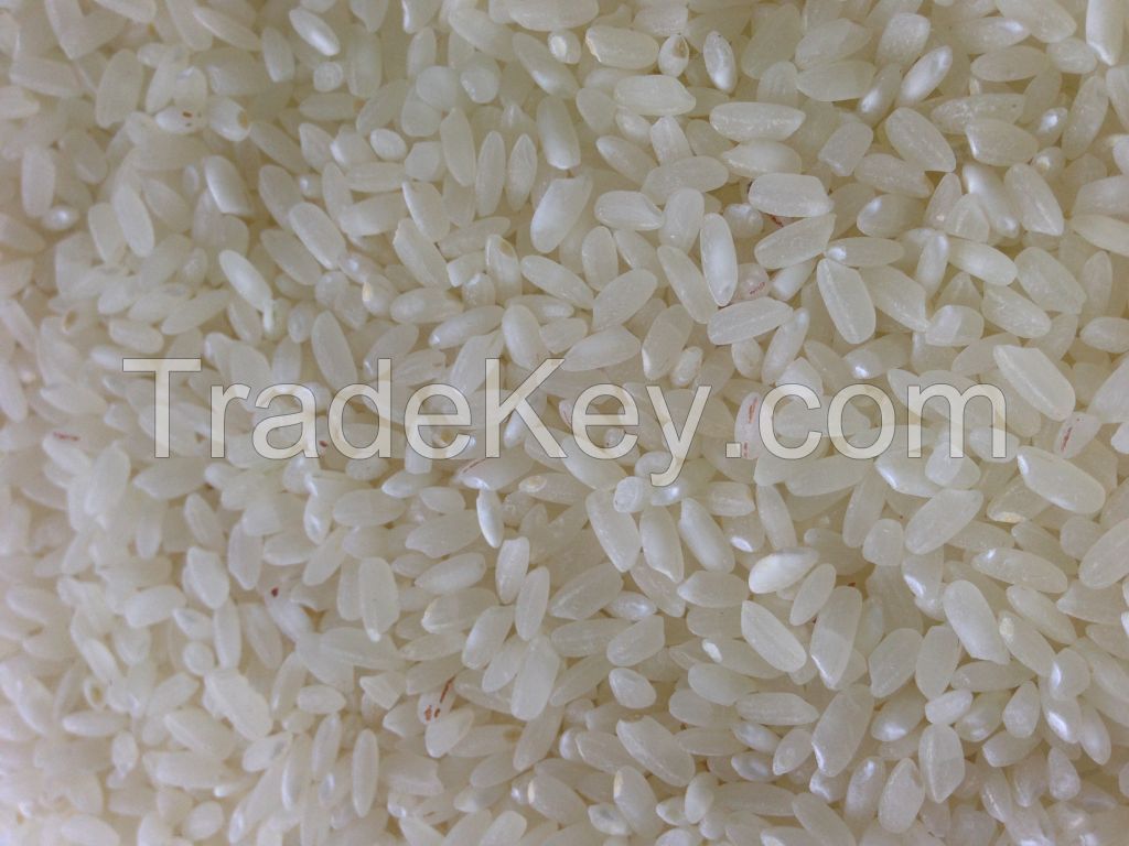 Round grain rice