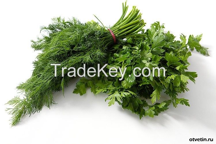 Fresh vegetables from Uzbekistan