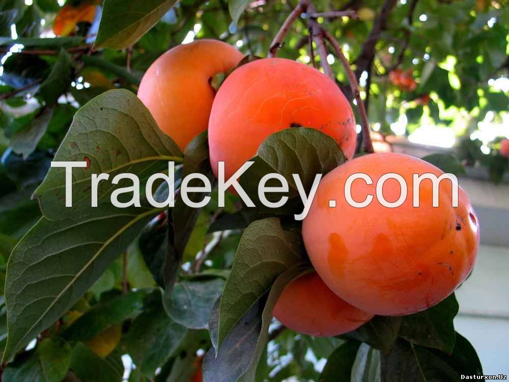 Fresh fruits from Uzbekistan