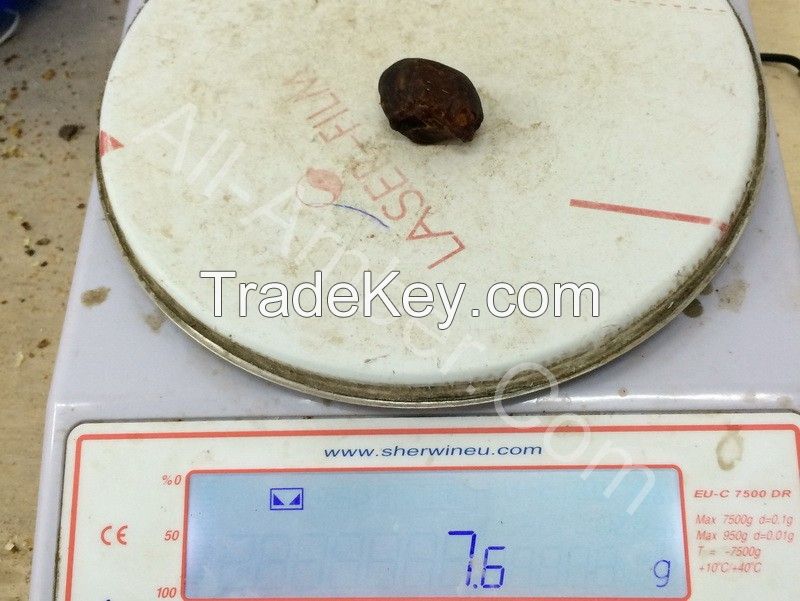 Raw Natural Amber of 5-10 grams fraction