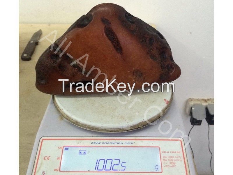 Raw Natural Amber of 500+ grams fraction 