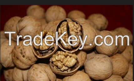 walnut kerenl 