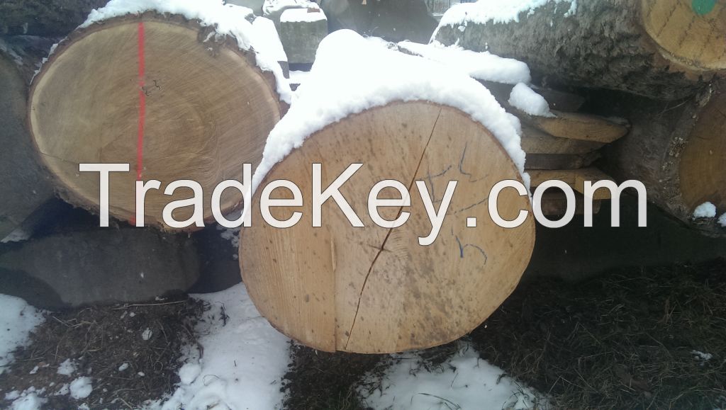 Oak logs 26+ cm ABC Ukraine