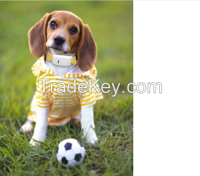 2014 New Arrival Factory Price GPS Tracker Pets T201-2