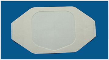 transparent semi-permeable dressing