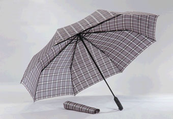 3 Fold Auto Open & Close Umbrella 3