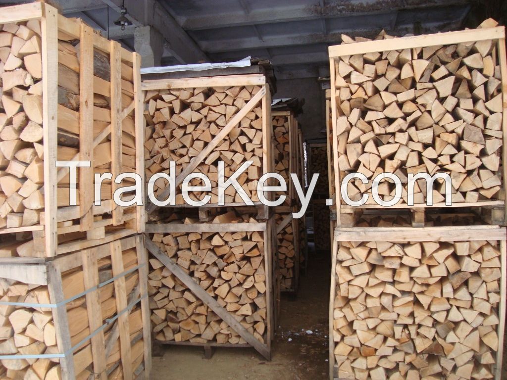 Beech firewood