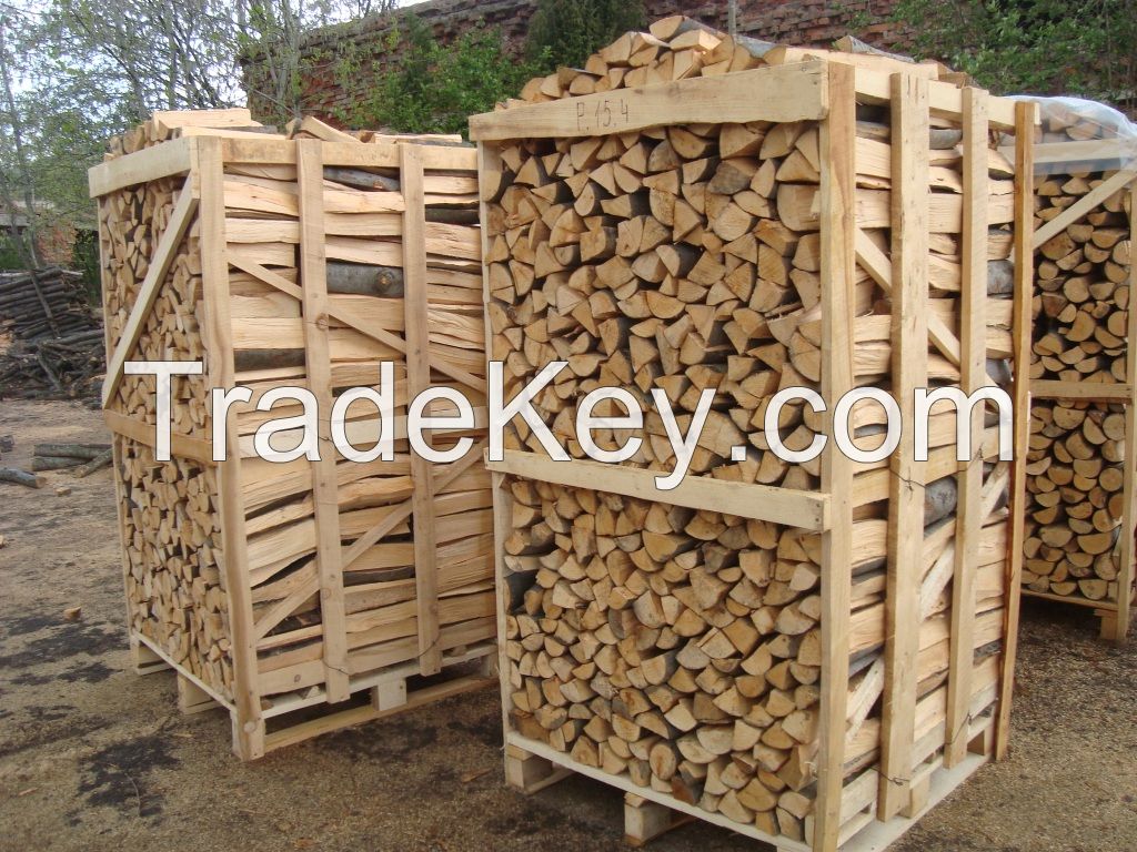Beech firewood