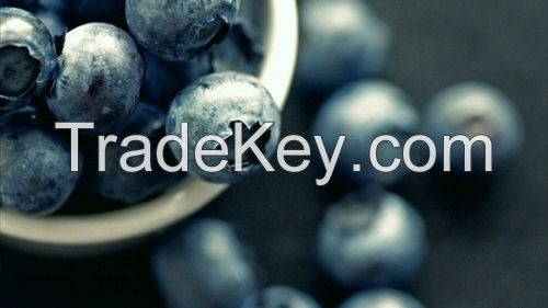 Blueberries