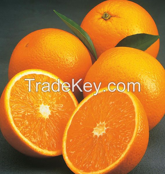 FRESH FRUIT, LEMON, MANDARIN, ORANGE BTW SUPPLIER FROM TURKEY