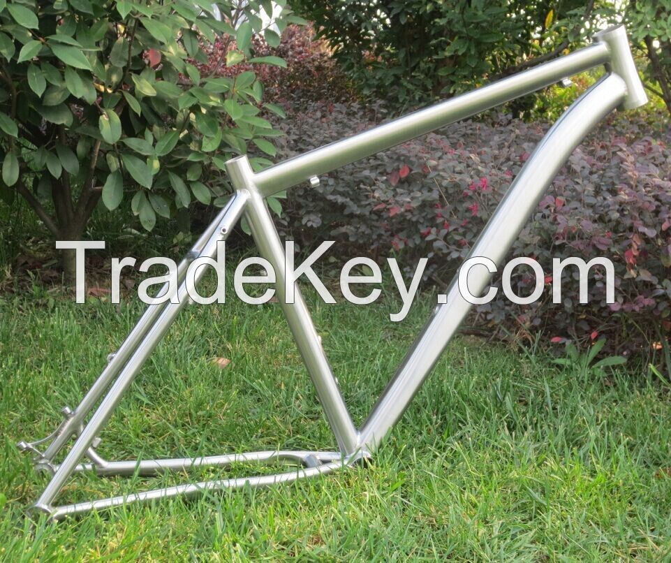 Titanium bike frame