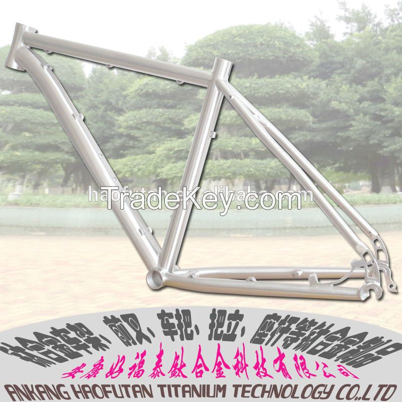 suspension 29er MTB bicycle frame