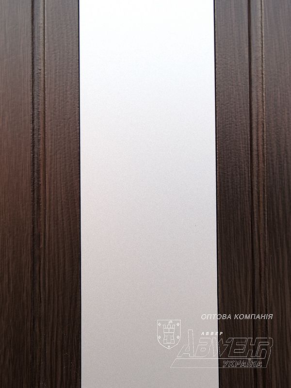 Steel MDF doors