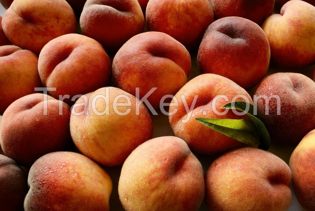 Peach grafted trees