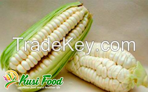 White Corn Cobs
