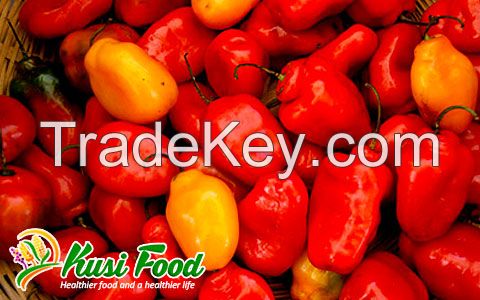 Red Pepper