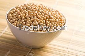 Soybeans & Soybean meal