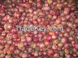 Red onion fresh organic onions high quality