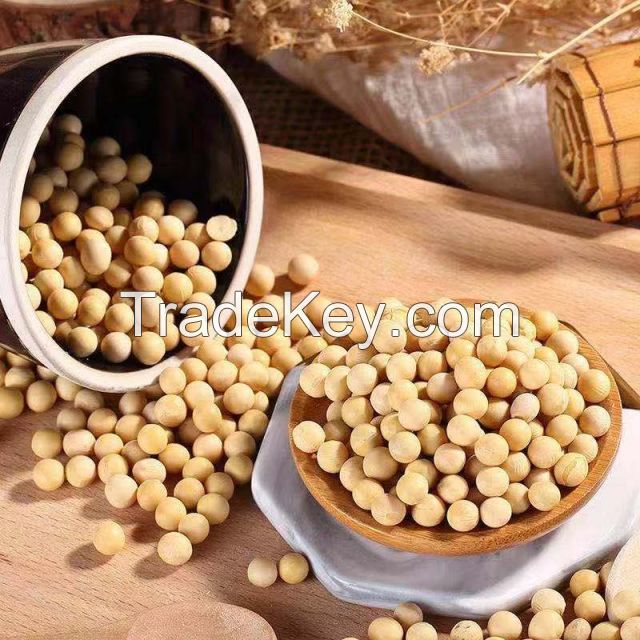 Soybeans & Soybean meal