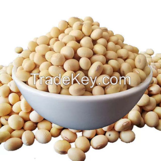 Soybeans &amp; Soybean meal