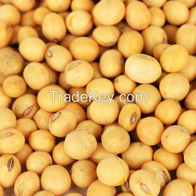 High Quality Non GMO Yellow Soybeans