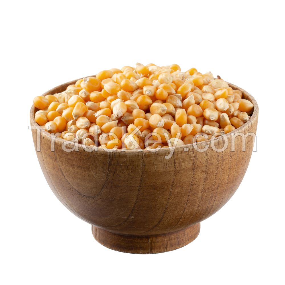 GRADE AA Non GMO White and Yellow Corn/Maize