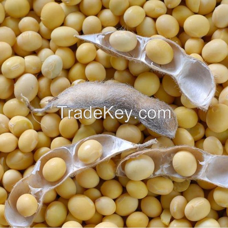 High Quality Non GMO Yellow Soybeans