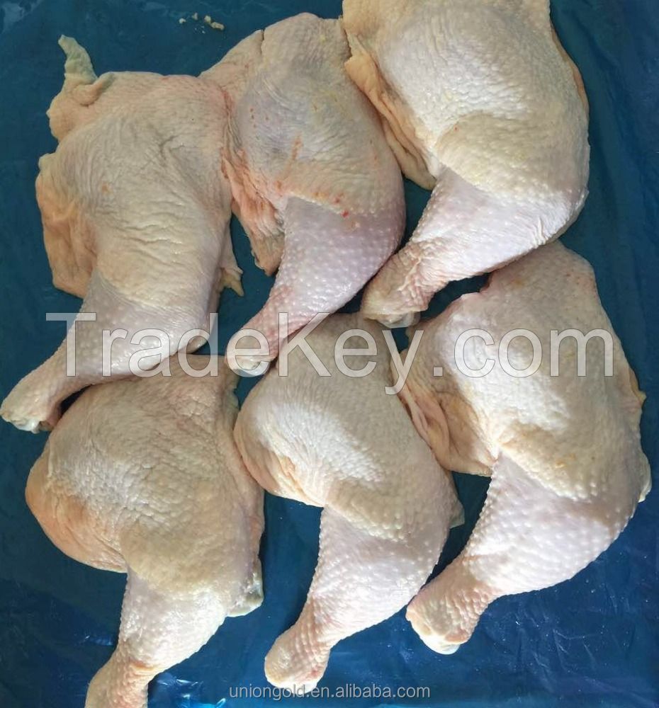 FROZEN HALAL  WHOLE CHICKEN FOR SALE