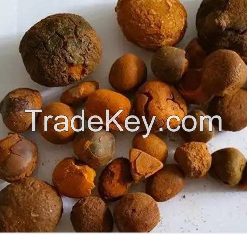 Cow gallstones