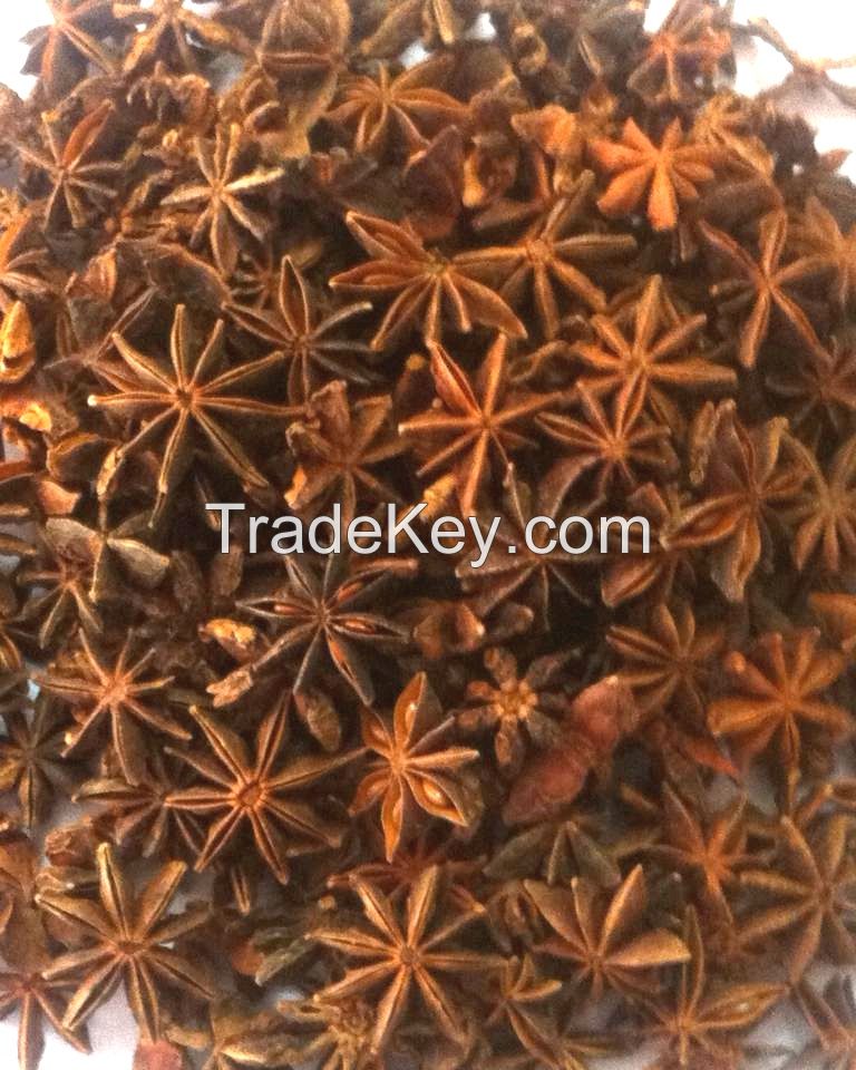 STAR ANISEED,AUTUMN STAR ANISEED ,SPRING STAR ANISEED