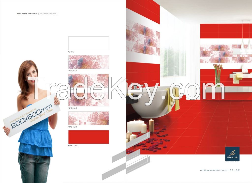 Digital Wall Tiles 200 x 600mm