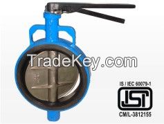 Butterfly Valve-Handle / Worm Gear Operated