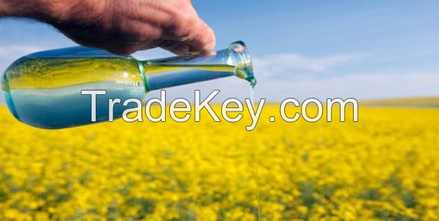 Crude Sunflower Oil