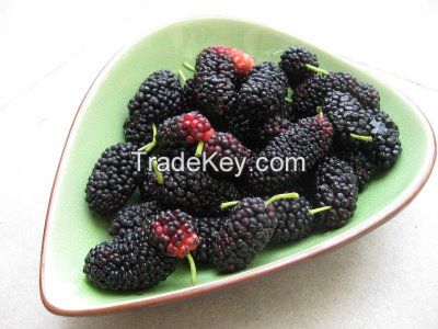 Dried Black Mulberry