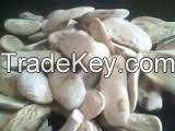 Xiang Tian Guo Indonesian Sky Fruit Mahogany Seeds