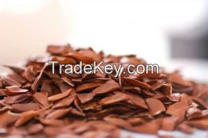 Xiang Tian Guo Indonesian Sky Fruit Mahogany Seeds