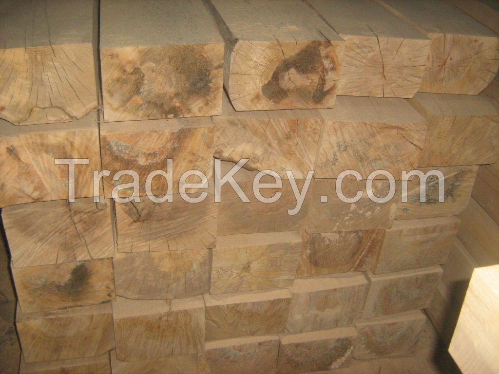 railway sleepers fresh-new