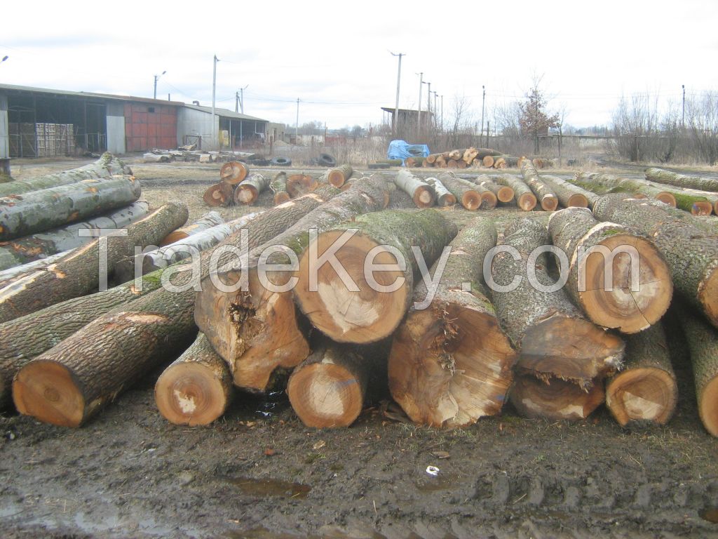 Beech, Ash, Oak logs