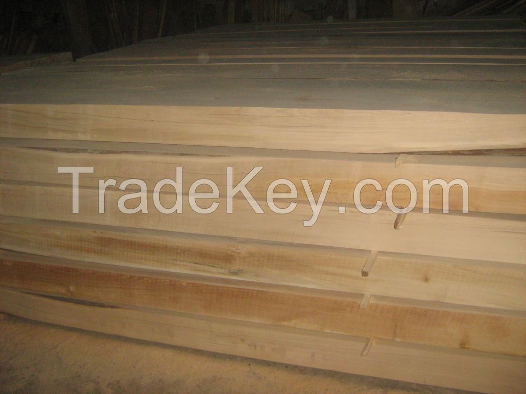 railway sleepers fresh-new