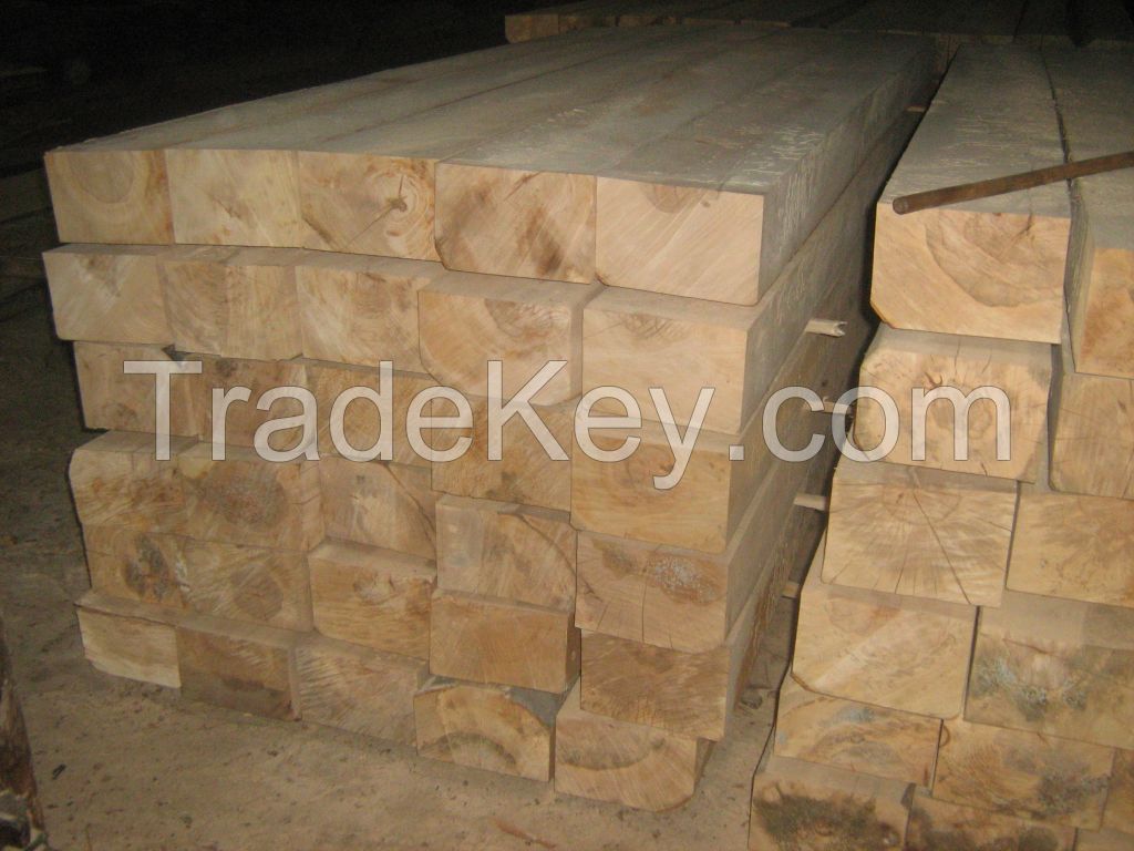 railway sleepers fresh-new