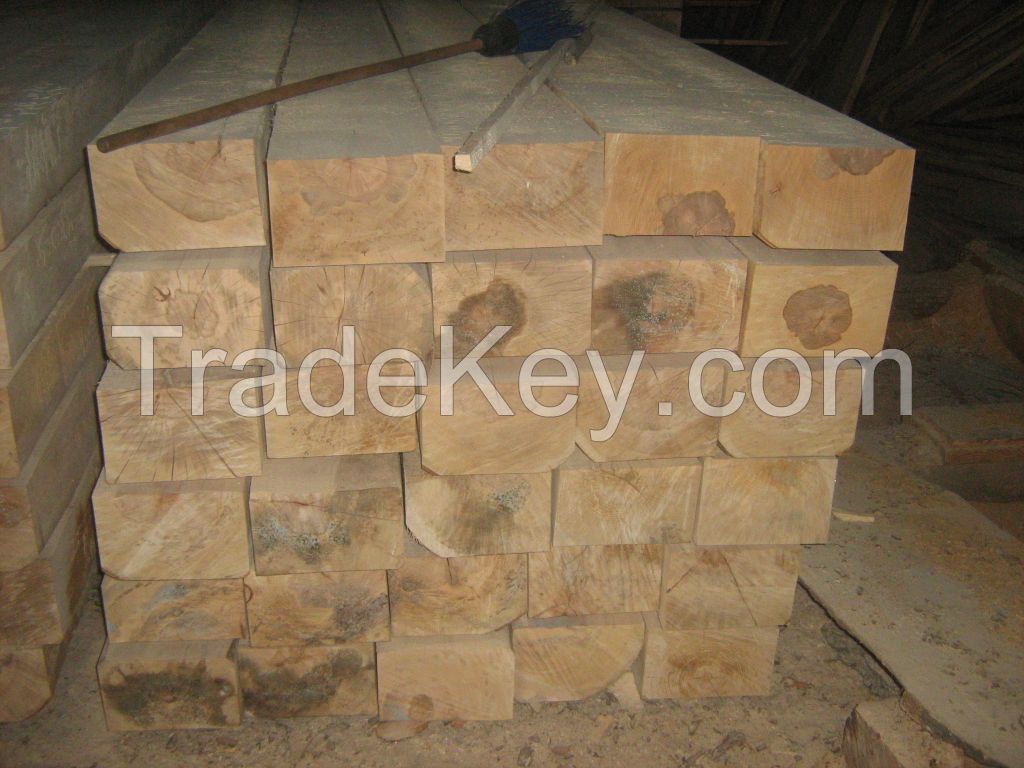 railway sleepers fresh-new