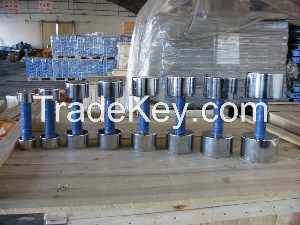 High quality steel fixed chrome Dumbbell