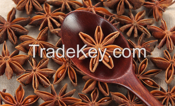 Star Aniseed