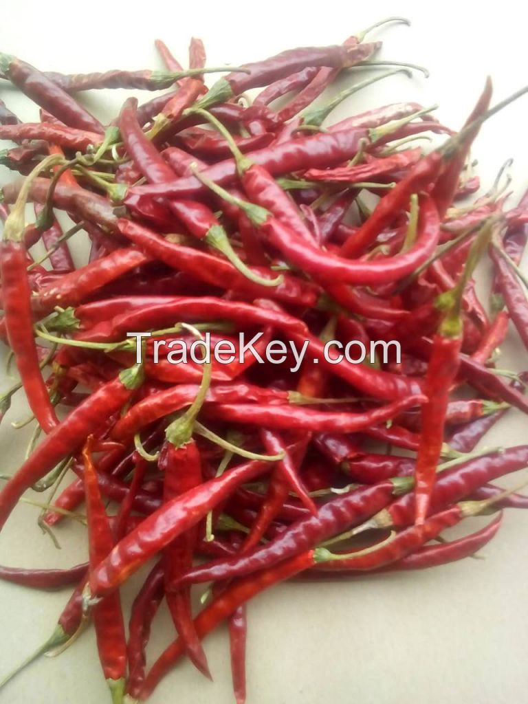 Dried Chilli