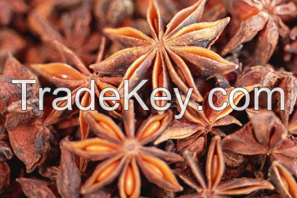 Star Aniseeds