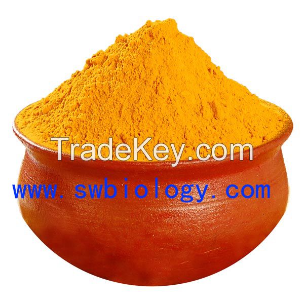 Turmeric powder