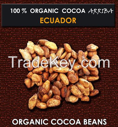 Organic Cocoa Beans