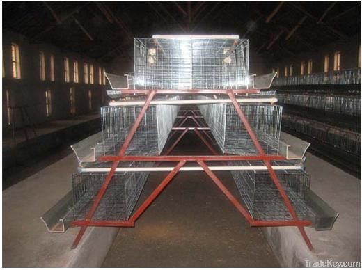 chicken cage, chicken layer cage, poultry cage