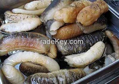 Seabob, Bangamary Fillet, Spanish Mackerel, King fish, mahi mahi Fillet, sable, trout